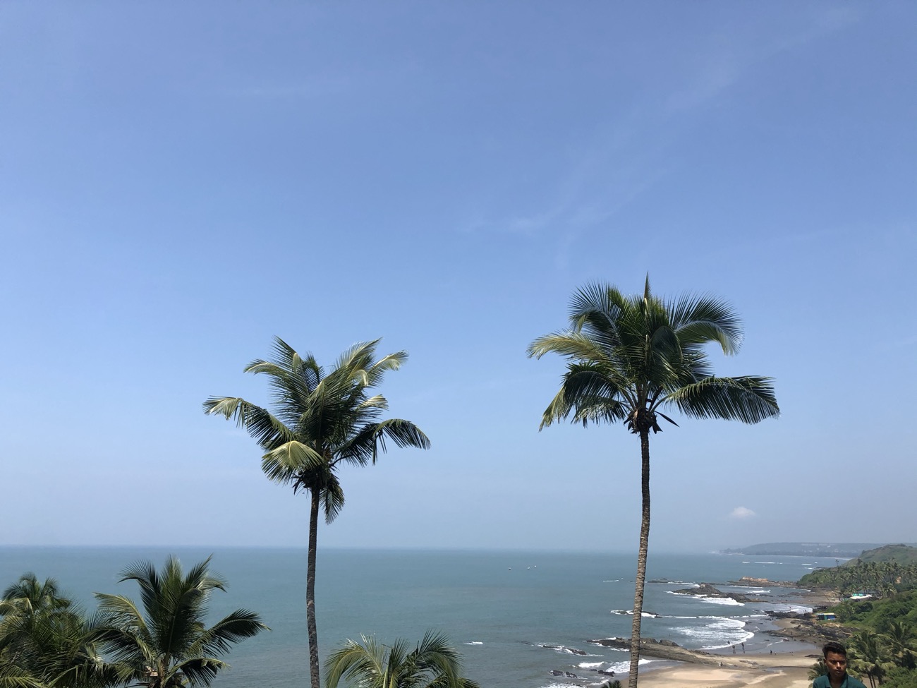 Palm trees over a Goa beach on a team retreat.